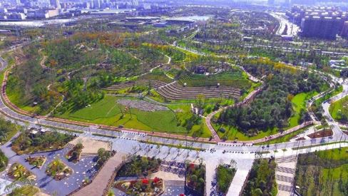 世界最大的生态修复案例——武汉市金口168体育是不是黑平台填埋场
